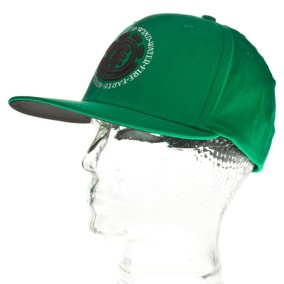 Element Flat Cap celtic